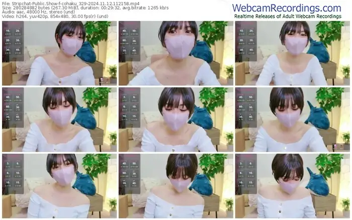 2024/11/12/stripchat-cohaku_329-11-21-58