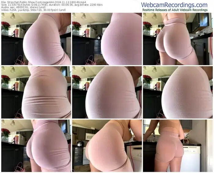 2024/11/12/stripchat-onlysage444-18-01-49