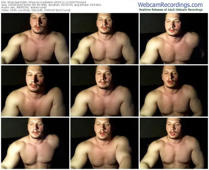 2024/11/12/stripchat-lionedwin-00-07-54