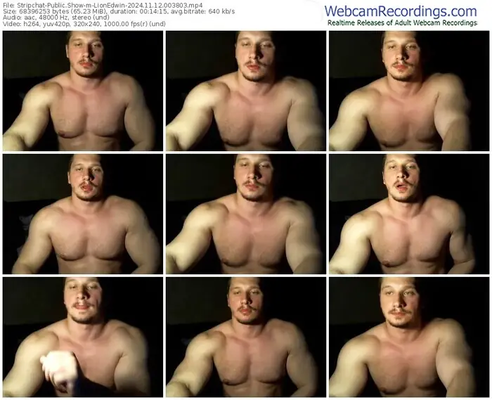 2024/11/12/stripchat-lionedwin-00-38-03