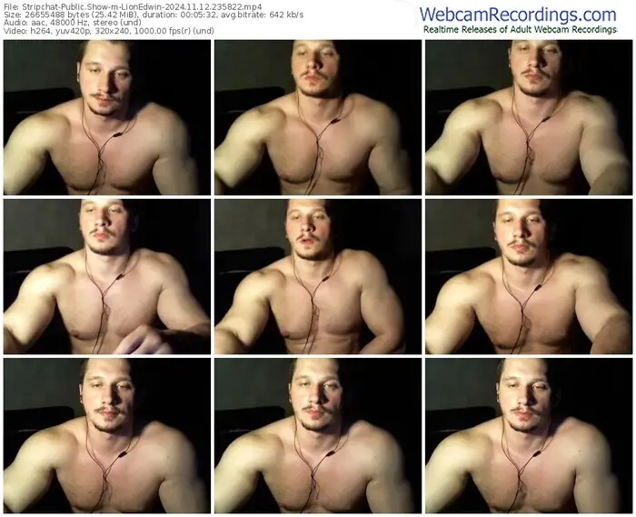 2024/11/12/stripchat-lionedwin-23-58-22