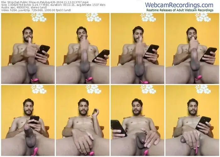 2024/11/12/stripchat-palyboy426-01-37-07