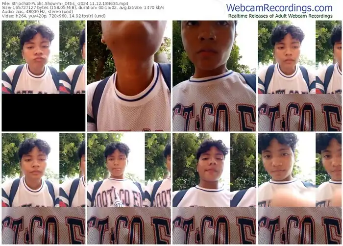 2024/11/12/stripchat-_ottis_-18-46-34