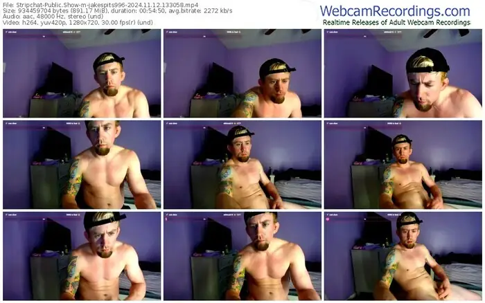 2024/11/12/stripchat-jakespits996-13-30-58