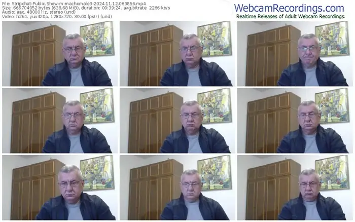 2024/11/12/stripchat-machomale3-06-38-56