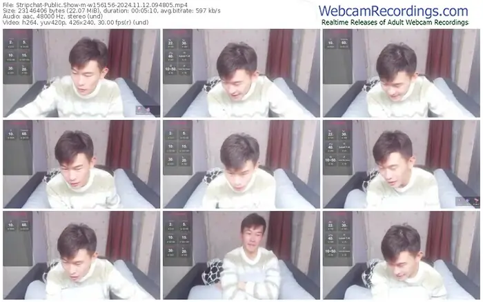 2024/11/12/stripchat-w156156-09-48-05