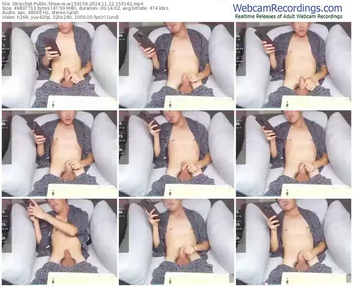 2024/11/12/stripchat-w156156-15-01-42
