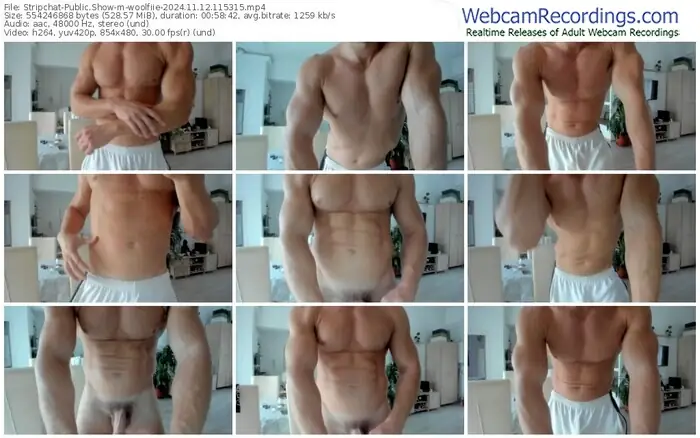 2024/11/12/stripchat-woolfiie-11-53-15