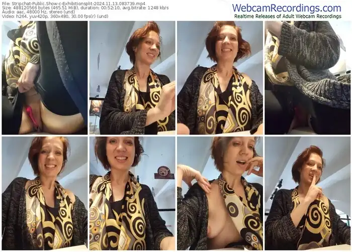 2024/11/13/stripchat-exhibitionsplit-08-37-39