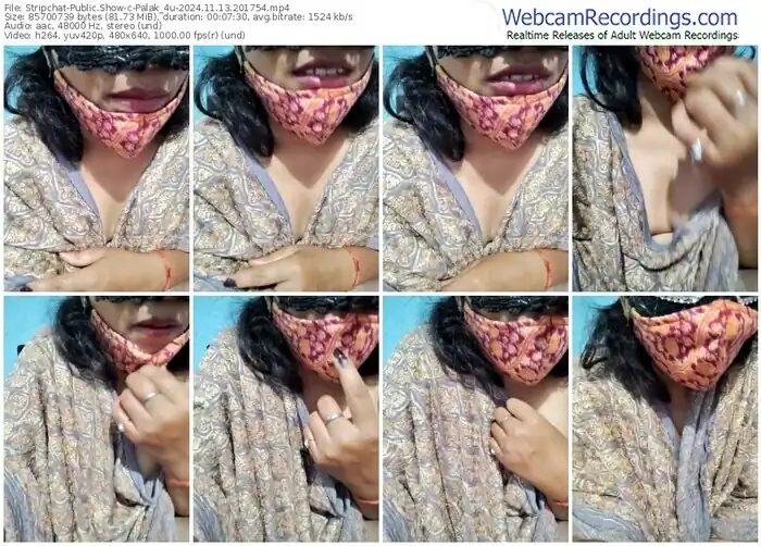 2024/11/13/stripchat-palak_4u-20-17-54