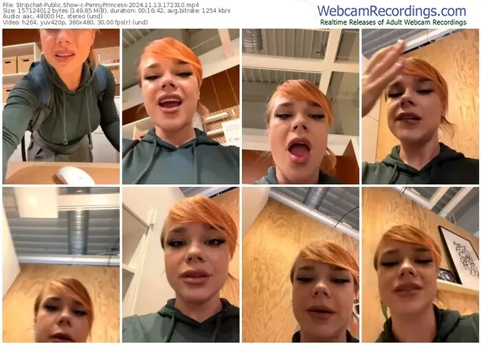 2024/11/13/stripchat-pennyprincess-17-23-10