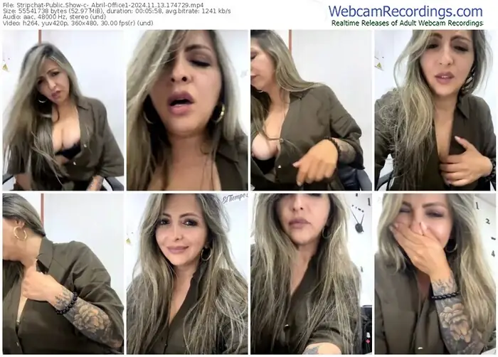2024/11/13/stripchat-_abril-office1-17-47-29