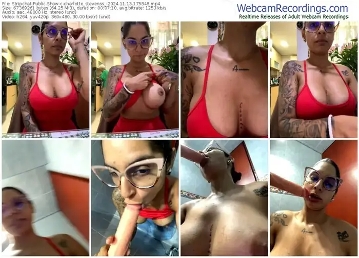 2024/11/13/stripchat-charlotte_stevenss_-17-58-48