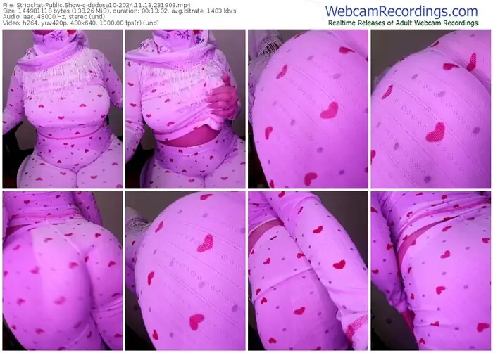 2024/11/13/stripchat-dodosa10-23-19-03