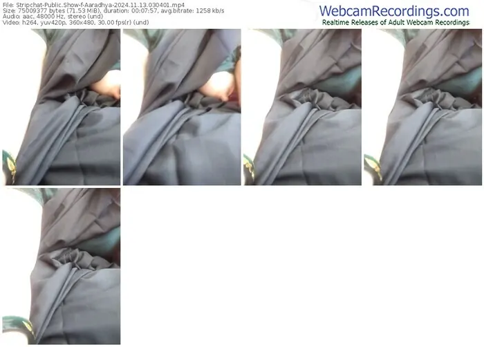 2024/11/13/stripchat-aaradhya-03-04-01