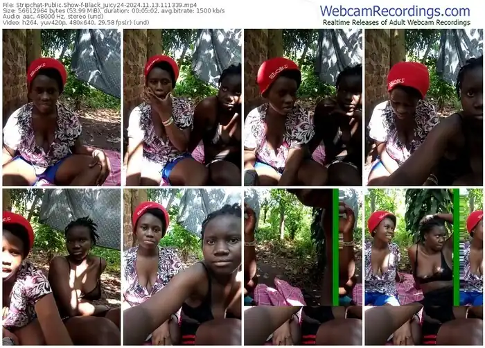 2024/11/13/stripchat-black_juicy24-11-13-39
