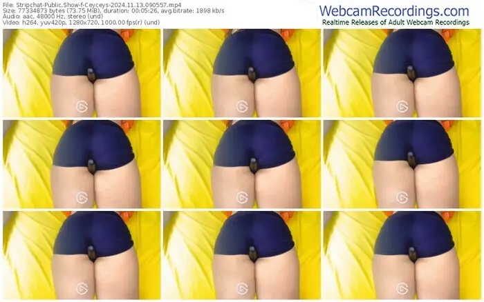 2024/11/13/stripchat-ceyceys-09-05-57