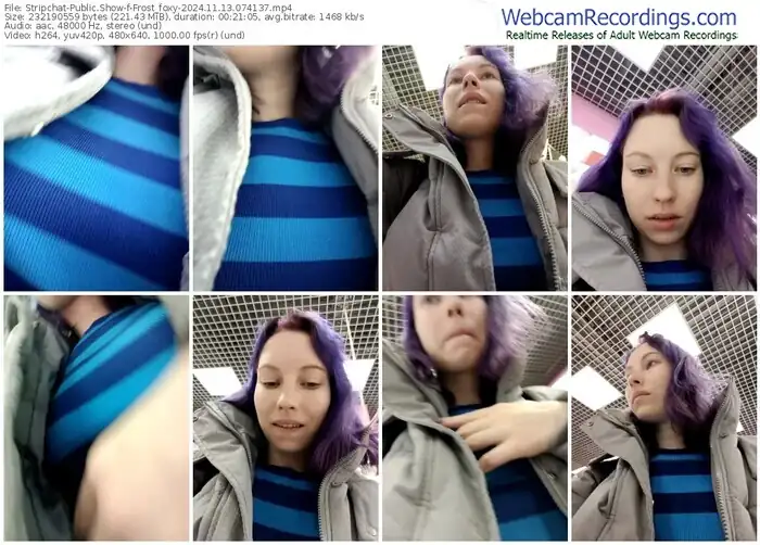 2024/11/13/stripchat-frost_foxy-07-41-37