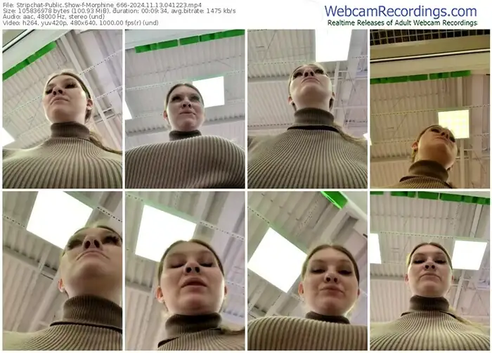 2024/11/13/stripchat-morphine_666-04-12-23