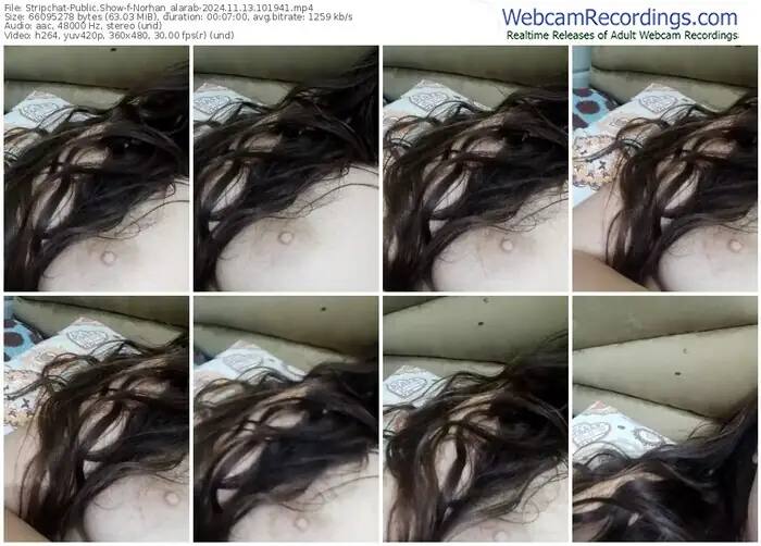 2024/11/13/stripchat-norhan_alarab-10-19-41