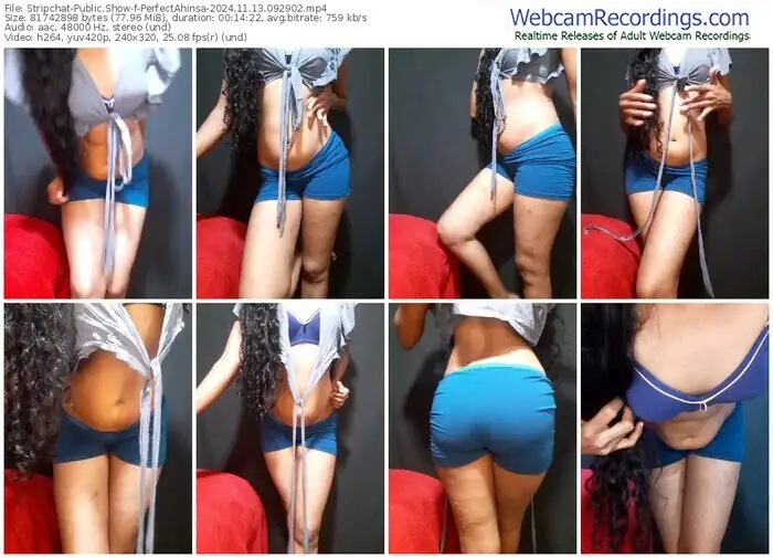 2024/11/13/stripchat-perfectahinsa-09-29-02