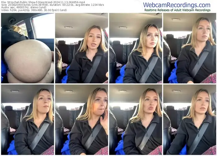 2024/11/13/stripchat-stasywood-06-46-59