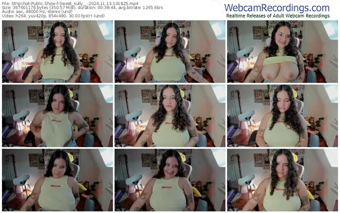 2024/11/13/stripchat-sweet_sully__-10-18-25