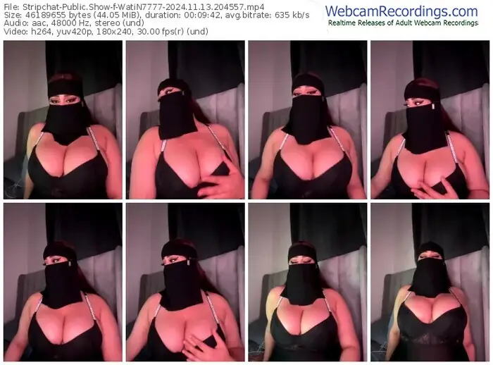 2024/11/13/stripchat-watin7777-20-45-57