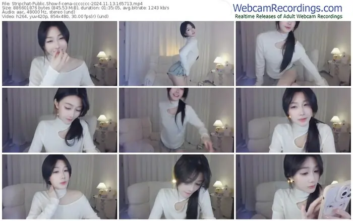 2024/11/13/stripchat-cena-ccccccc-16-57-13