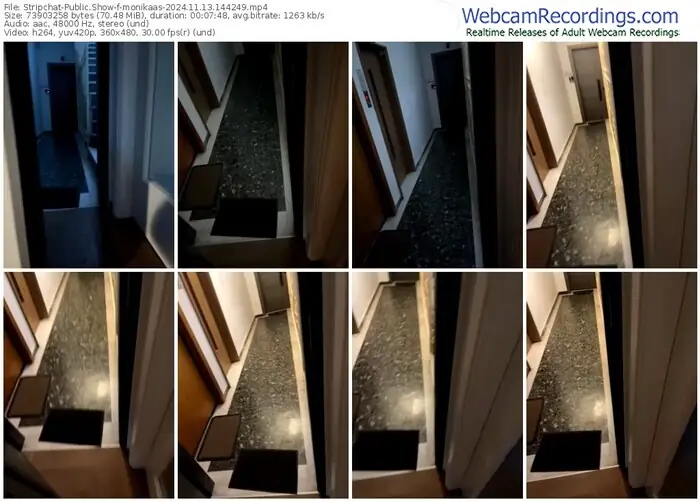 2024/11/13/stripchat-monikaas-14-42-49