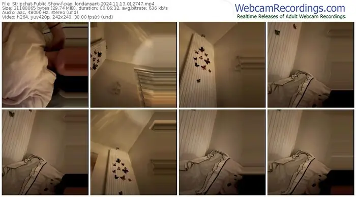 2024/11/13/stripchat-papillondansant-01-27-47