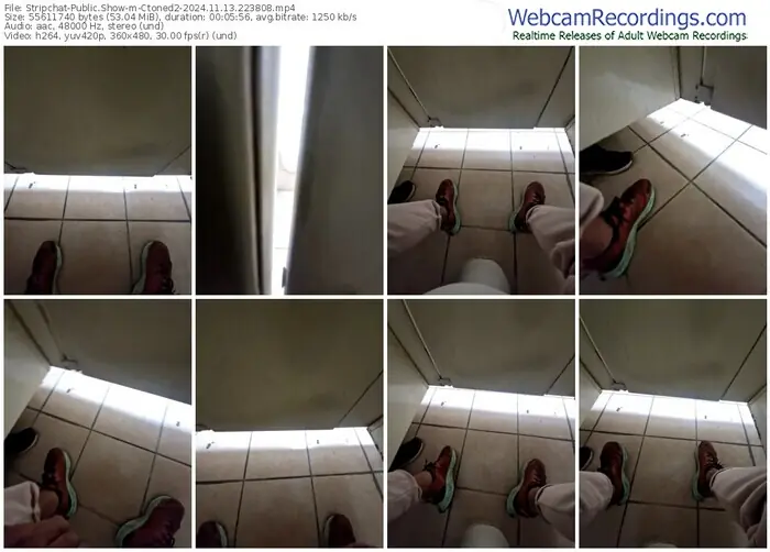 2024/11/13/stripchat-ctoned2-22-38-08