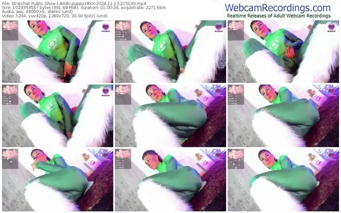 2024/11/13/stripchat-baby-puppy18xx-21-51-00