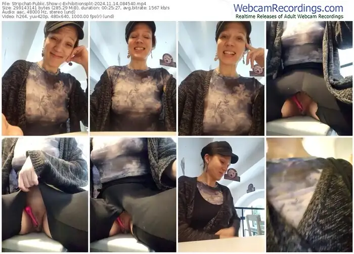 2024/11/14/stripchat-exhibitionsplit-08-45-40