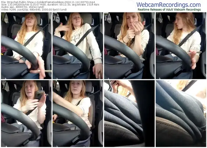 2024/11/14/stripchat-goldenflamegoddess-19-37-53