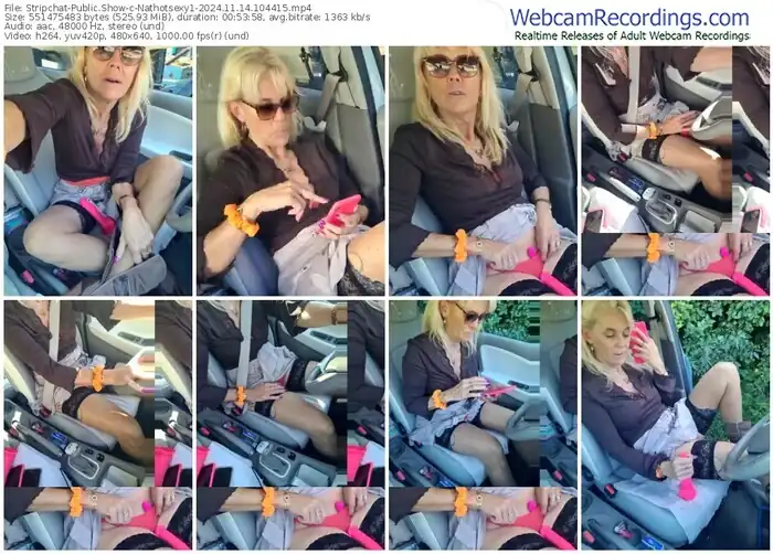 2024/11/14/stripchat-nathotsexy1-10-44-15