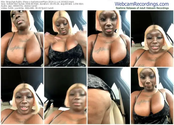 2024/11/14/stripchat-sailormoonplips-19-34-22