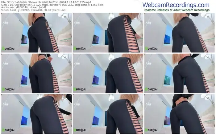 2024/11/14/stripchat-scarlettandtom-00-17-55