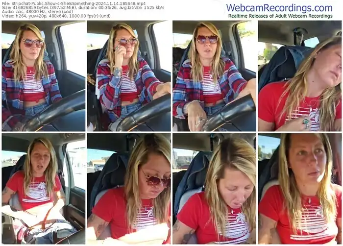 2024/11/14/stripchat-sheissomething-18-56-48