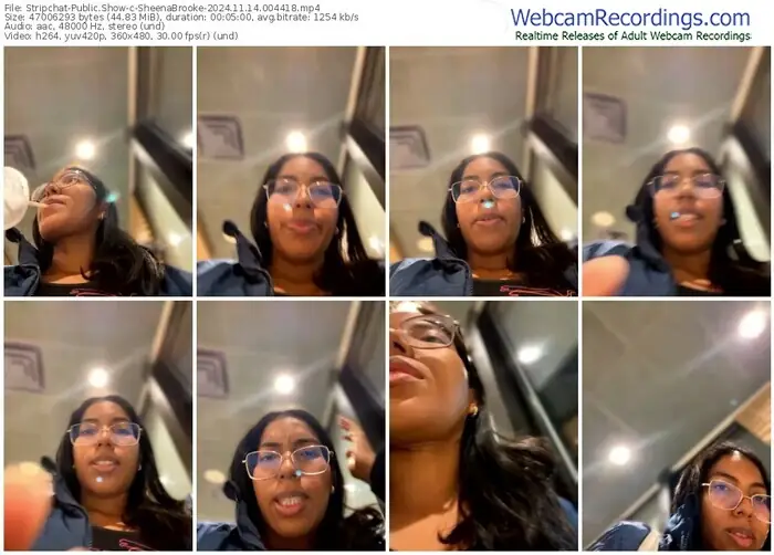 2024/11/14/stripchat-sheenabrooke-00-44-18