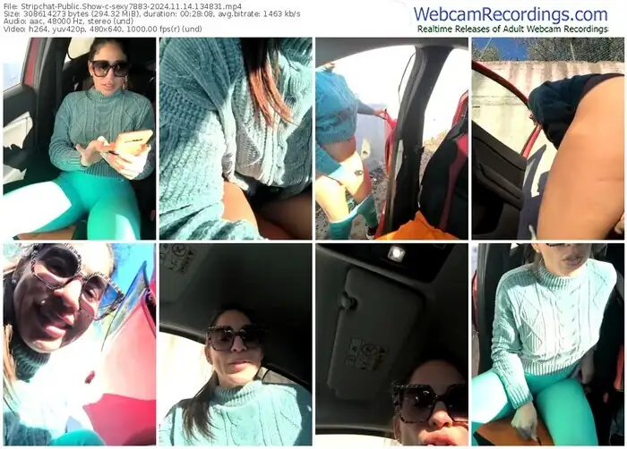 2024/11/14/stripchat-sexy7883-13-48-31