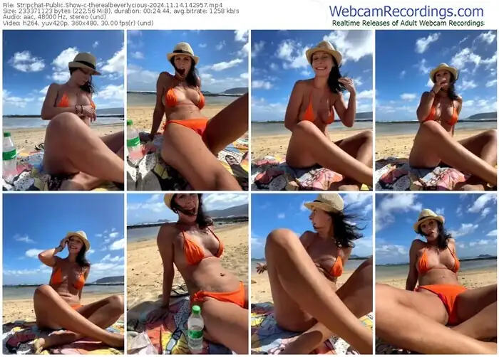 2024/11/14/stripchat-therealbeverlycious-14-29-57
