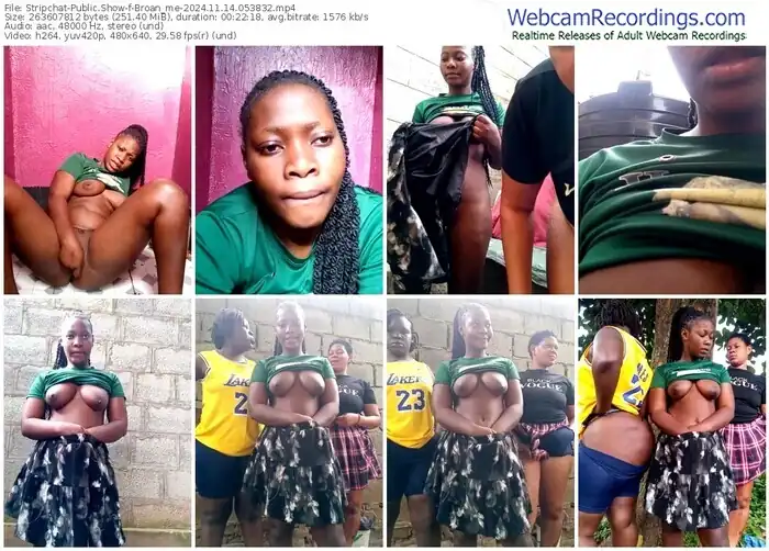 2024/11/14/stripchat-broan_me-05-38-32