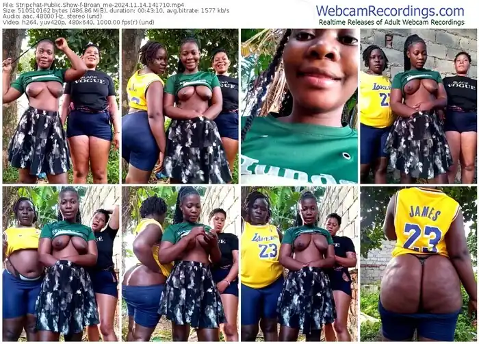 2024/11/14/stripchat-broan_me-14-17-10