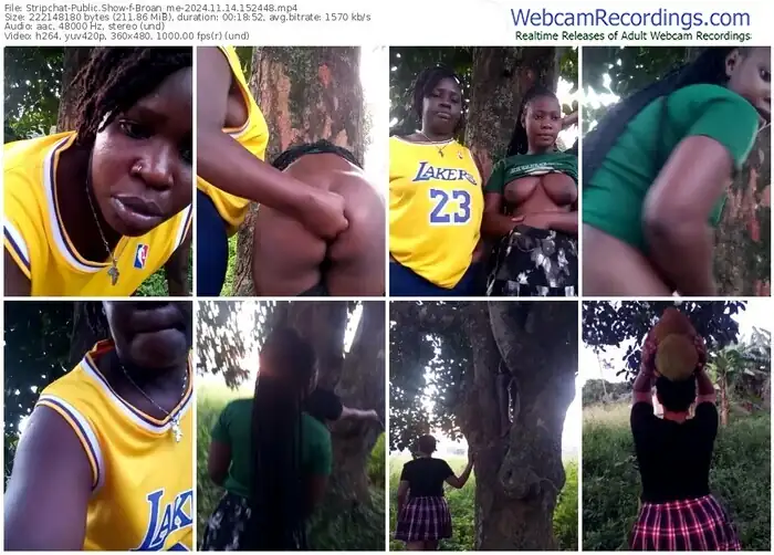 2024/11/14/stripchat-broan_me-15-24-48