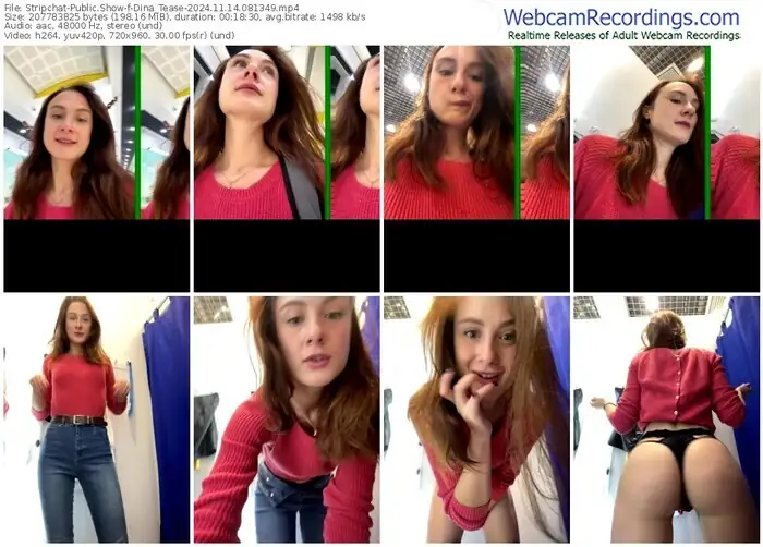 2024/11/14/stripchat-dina_tease-08-13-49