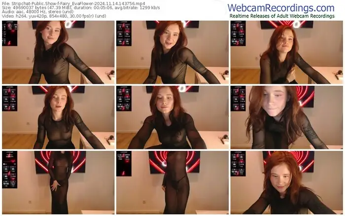 2024/11/14/stripchat-fairy_evaflower-14-37-56