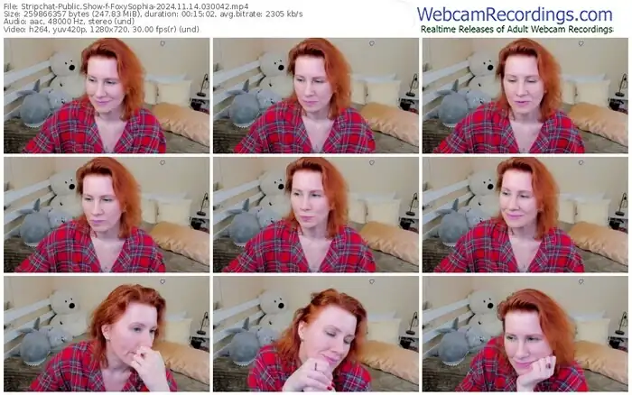 2024/11/14/stripchat-foxysophia-03-00-42