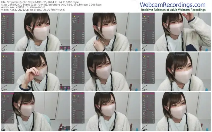 2024/11/14/stripchat-mei--55-21-38-05