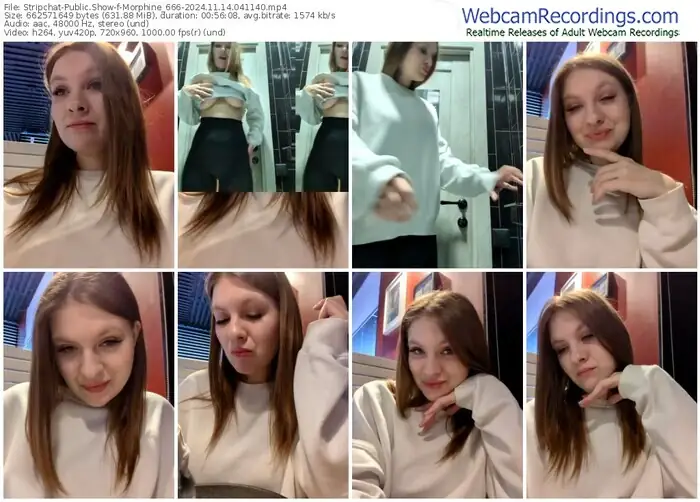 2024/11/14/stripchat-morphine_666-04-11-40